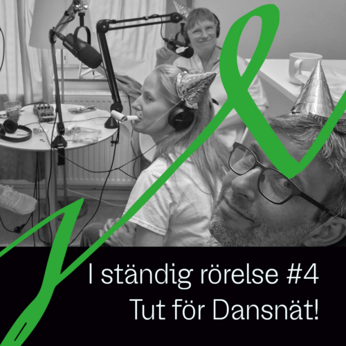 Dansnät bild