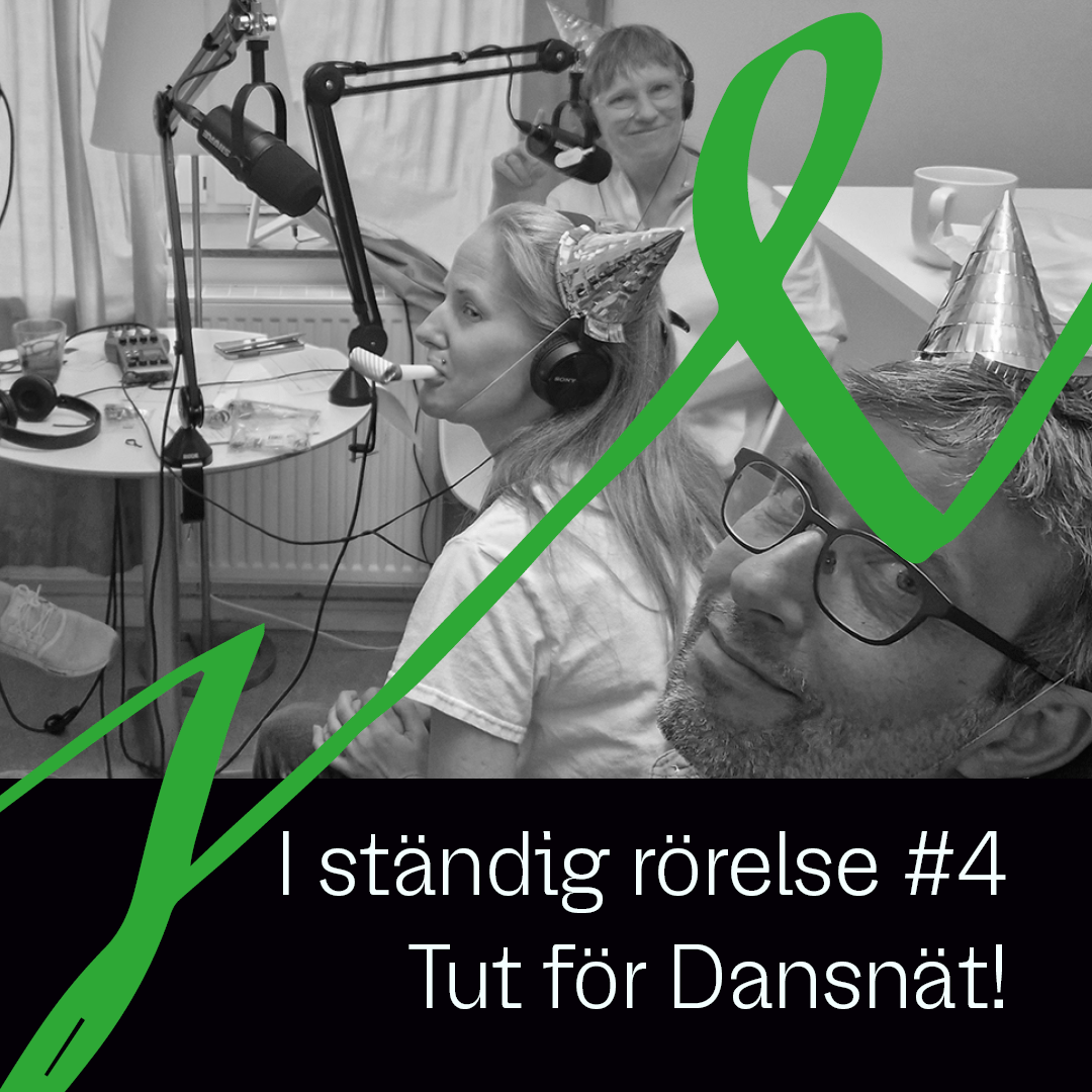 Dansnät bild
