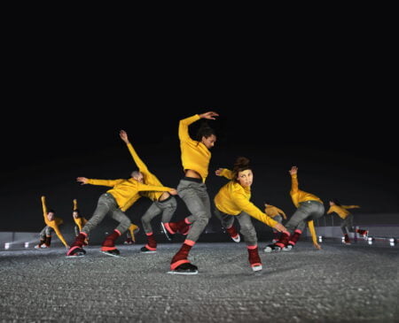 Murmuration Le Patin Libre