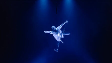 Flying Denoiseai Standard