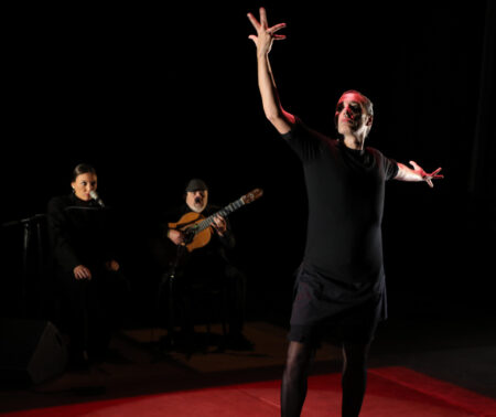 Salle de l'Atrium spectacle Israel Galvan danseur et chorégraphe espagnol de flamenco